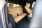 2026 Cadillac ESCALADE IQ Premium Sport