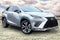 2021 Lexus NX NX 300 F SPORT