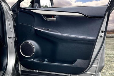 2021 Lexus NX NX 300 F SPORT