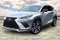 2021 Lexus NX NX 300 F SPORT